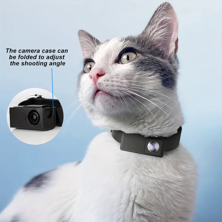 Câmera para Coleira Pet HD 1080P com Gravação