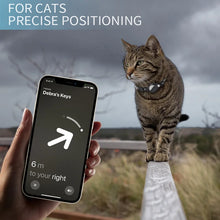 Coleira para Gato com Suporte para AirTag