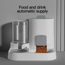 Comedouro e Bebedouro Automático por Gravidade para Gatos