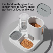 Comedouro e Bebedouro Automático por Gravidade para Gatos