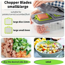 Cortador de Legumes Multifuncional 22 em 1 com Recipiente